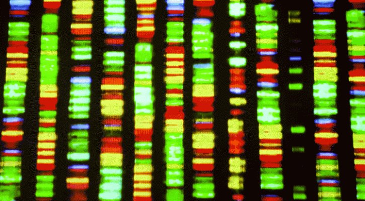 Just One Gram Of DNA Can Potentially Hold All The Data Stored On The Internet