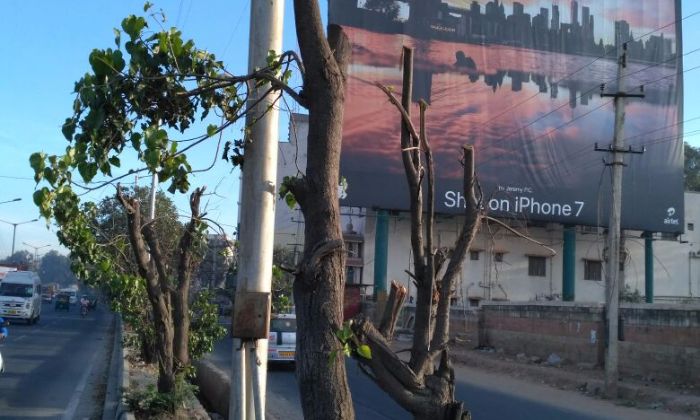 Bengaluru iPhone Hoarding 