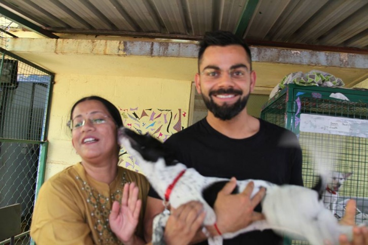 Virat Kohli's Unconditional Love For Dogs Erupts! RCB Captain Fetches Up At  Dog Welfare Centre In Bangalore