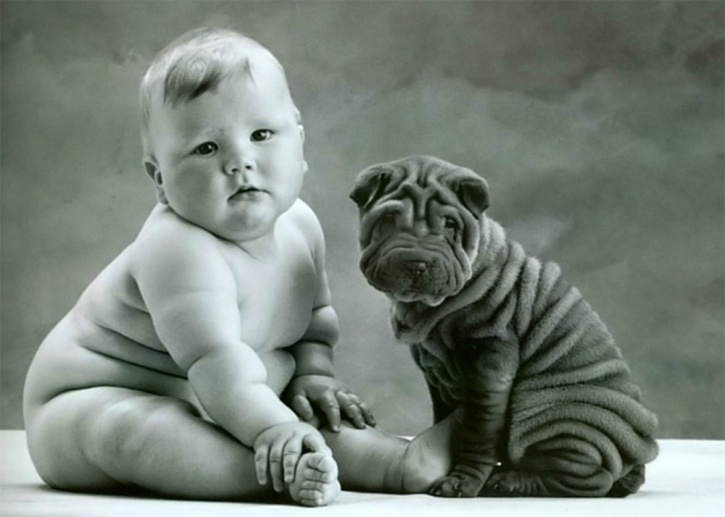babies who were exposed to dogs prenatally had a greater likelihood of either one or two of the above bacteria. 