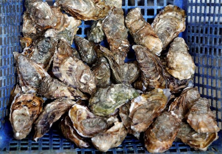 The French Are Now Getting Fresh Oysters Straight Out Of A Vending Machine