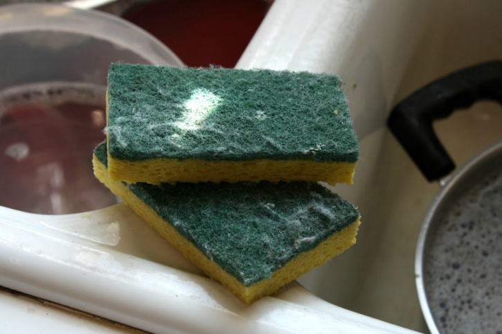 Kitchen sponges are tricky. They are undoubtedly quite gross because of all the grime they remove from your dirty utensil, but how gross is gross enough to be harmful to your health? 