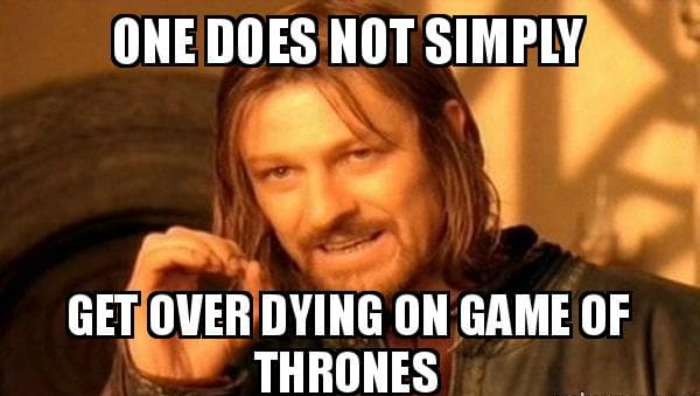 Ned Stark meme