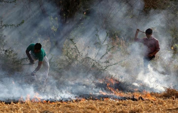 Alarmed By Delhi Air Pollution Farmers Quit Stubble Burning