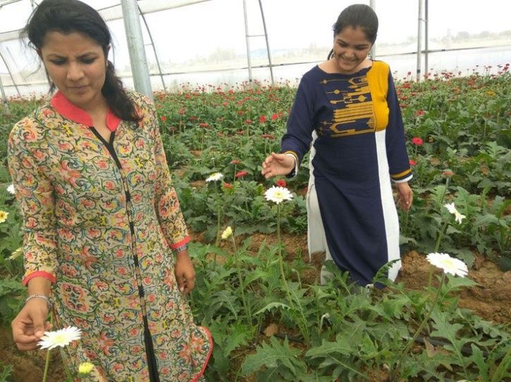 CA And MBA Girls Turn Farmers In Haryana