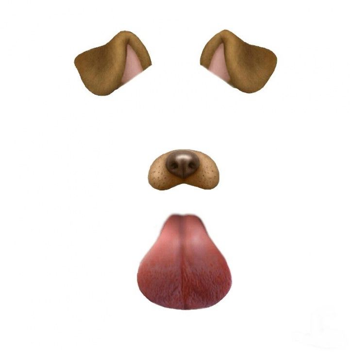 dog tongue app snap chay