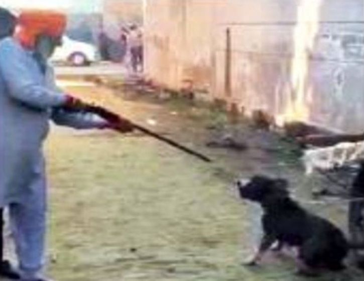 Ex-Armyman Uses Rifle To Shoot Chained Dog