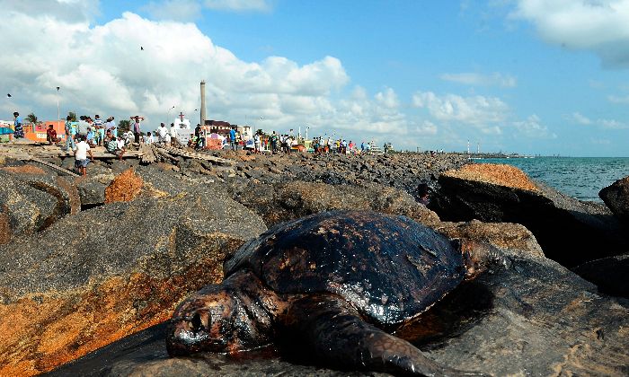 Chennai Oil Spill Continues For Fifth Day, With Machines Failed