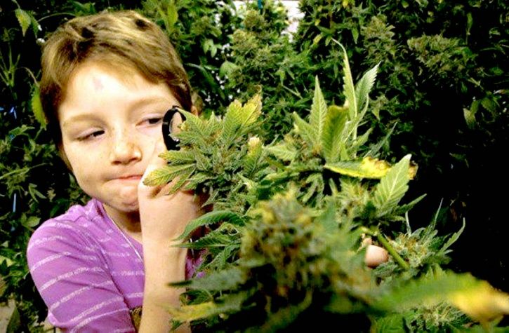 Marijuana and kids