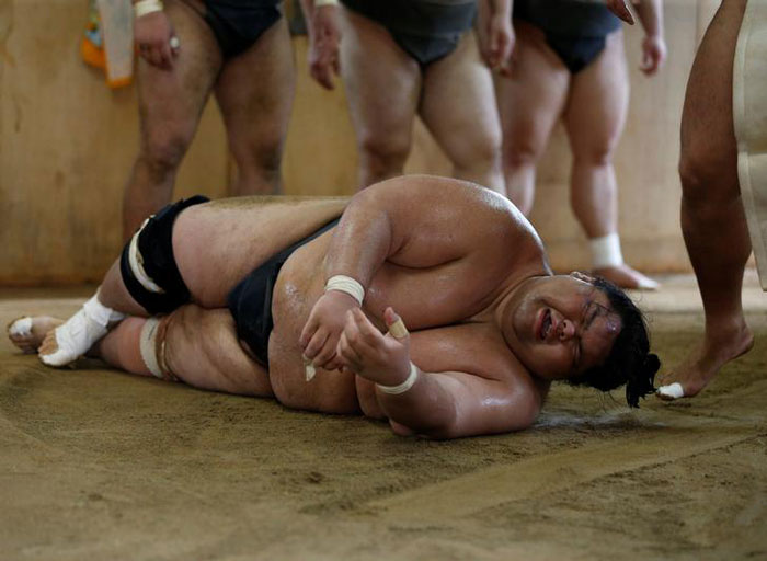 Mongolian Wrestler Sumo 