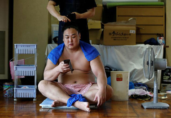 Mongolian Wrestler Sumo 