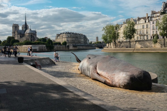 whale structure in Paris