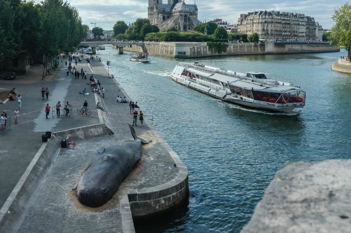 whale structure installed in Paris