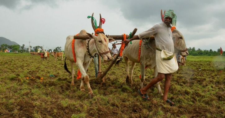 Indian farmer agriculture farm