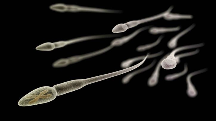 The sperm count of men in North America, Europe, Australia and New Zealand has halved in 40 years, according to research warning of fertility risk, though outside experts urged caution about the results.