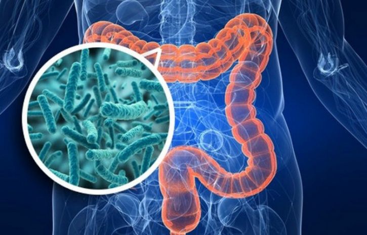 You are exposed to microbes when you are in your mother’s womb and gut microbiome continues to diversify, as you grow older. The higher the diversity of your microbiome the better for your health