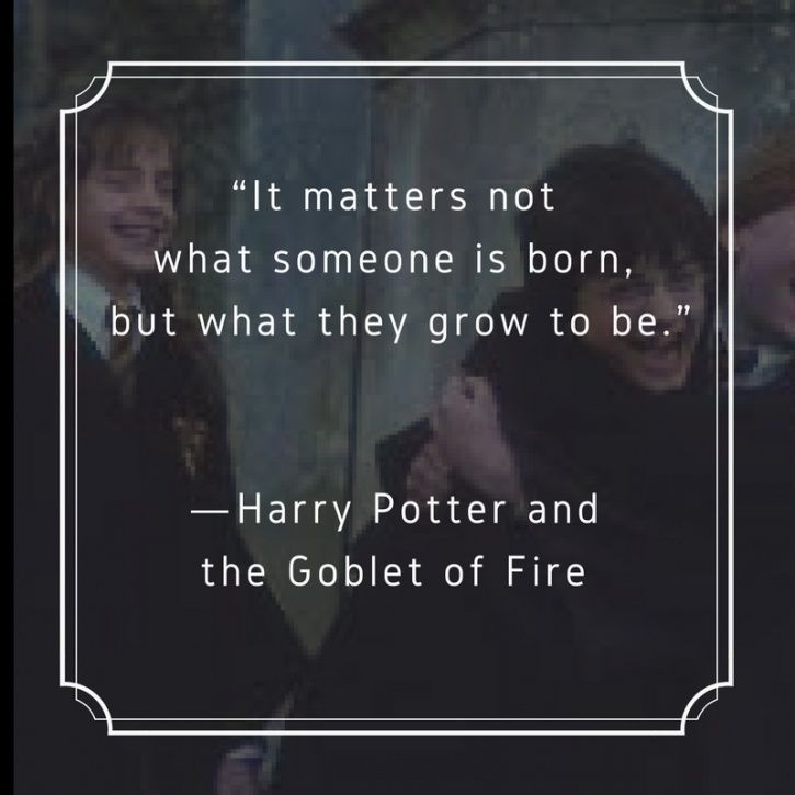 20 Years Ago, Harry Potter Came Into Our Lives & Here Are 15 Quotes ...