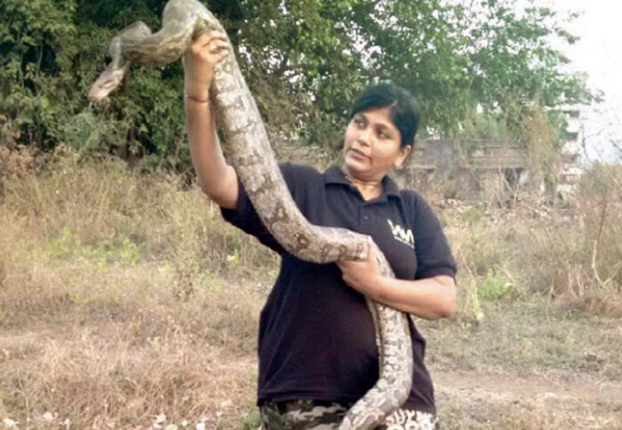 No Crazy Rope Trick, These Are Superwomen Who Rescue Snakes Lost In ...