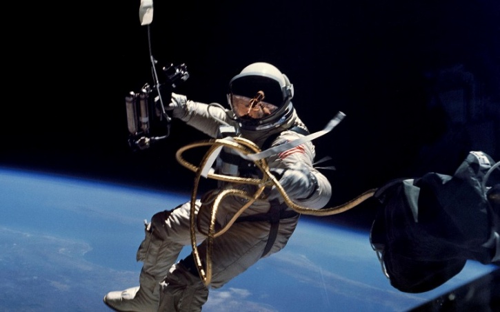 Astronauts Accidentally Lose A Shield In Space NASA Astronauts Lost A Crucial ISS Shield On A Spacewalk, And It's Now