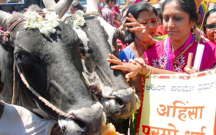 Government Bans Cow Slaughter Across India
