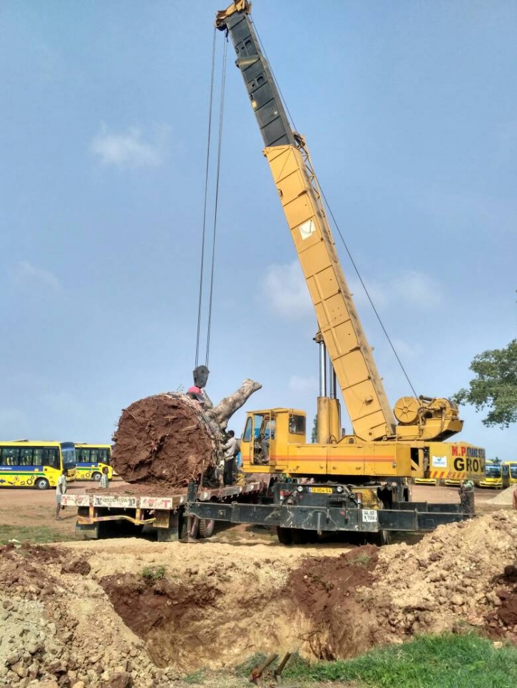 Bengaluru Relocation of Trees