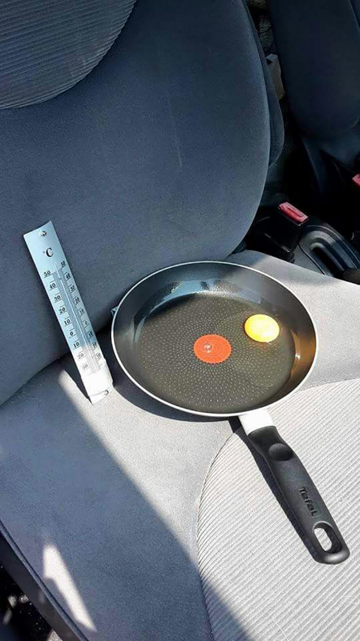 This is an egg in a pan left on the seat of a car. The window was a few centimetres open, so it can have fresh air