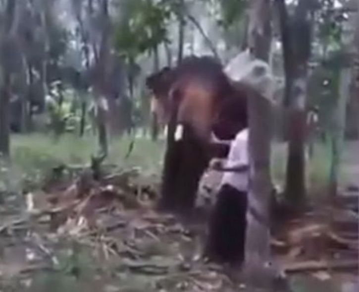 Baahubali Stunt Scene With An Elephant