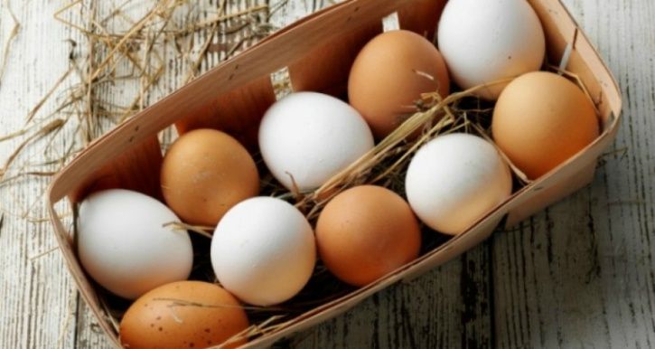 Myth #4: White eggs are healthier than brown eggs!  Fact: Eggs come in several colours. Eggshells derive their colour from the pigments the hens produce. Hence, both white and brown have the same nutritional values and are healthy.