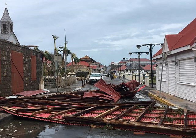 Hurricane Irma Leaves