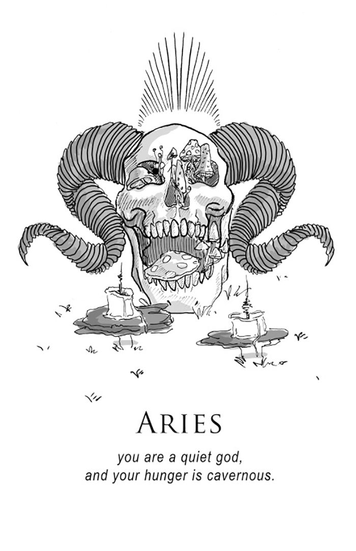 This Artist's Brutally Honest Interpretations Of Zodiac Signs Is A ...