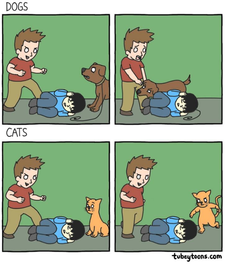  We’re often asked if we’re into cats or into dogs. While it is normal to love both species equally, there are some distinct personality traits that make them both liked and disliked by all sorts of humans.   Here are some hilariously brilliant illustrations that highlight the varied experiences owners often experience: