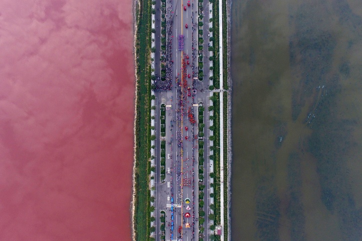 Utah's Great Salt Lake turns bright blue and pink in colour and the  internet is mesmerised by nature's beauty – India TV