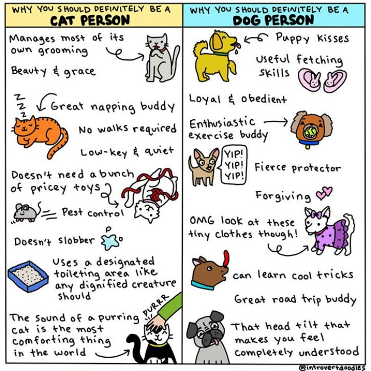 We’re often asked if we’re into cats or into dogs. While it is normal to love both species equally, there are some distinct personality traits that make them both liked and disliked by all sorts of humans.   Here are some hilariously brilliant illustrations that highlight the varied experiences owners often experience: