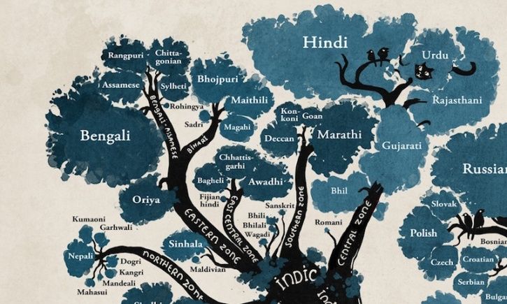 It depicts the connection Hind and Urdu as well all the other regional languages in India, like Gujrat, with the Indo-Iranian family. 