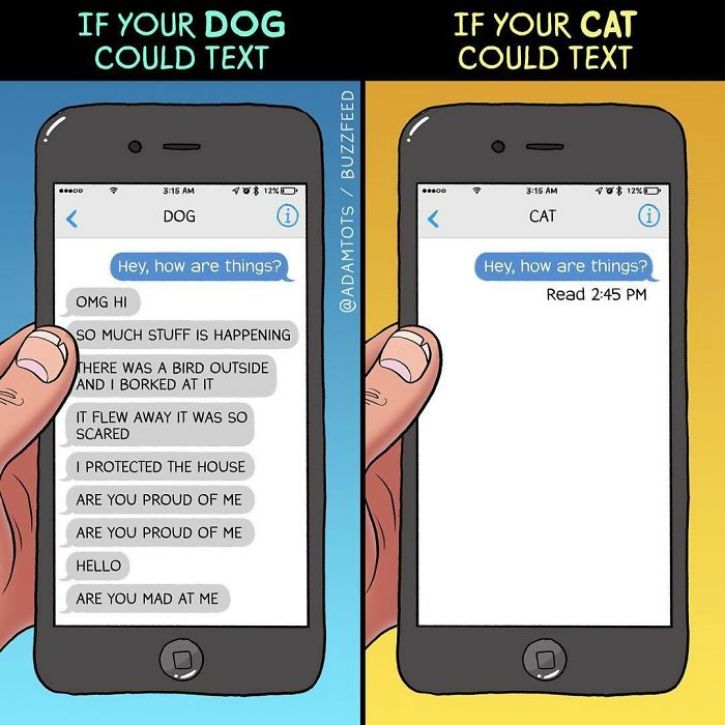 We’re often asked if we’re into cats or into dogs. While it is normal to love both species equally, there are some distinct personality traits that make them both liked and disliked by all sorts of humans.   Here are some hilariously brilliant illustrations that highlight the varied experiences owners often experience:
