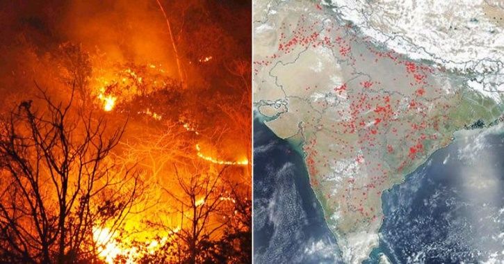 india forest fire