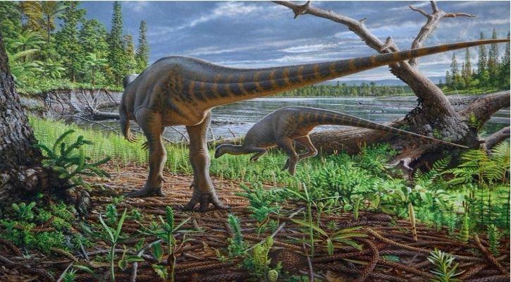 Scientists Believe They've Finally Found What Dinosaur's Dna Looked Like