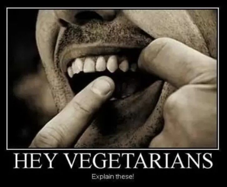 15 Memes You Need To Send Your Vegetarian Friends Right Now 5327