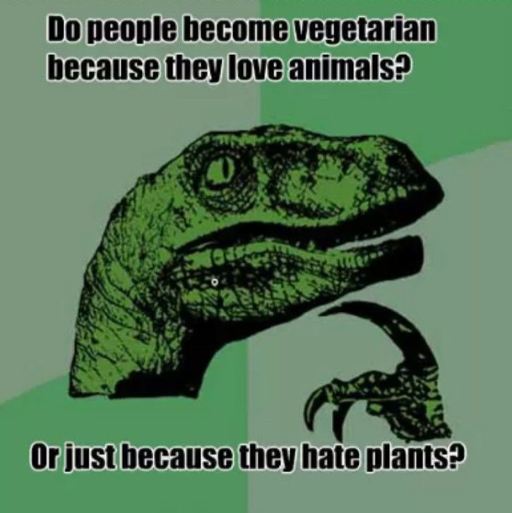 15 Memes You Need To Send Your Vegetarian Friends Right Now