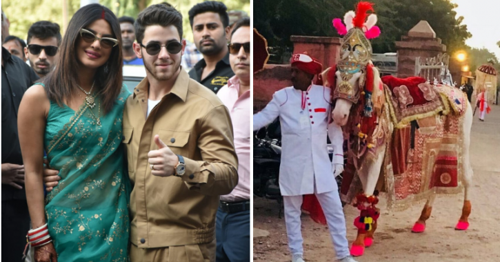 After Firecracker Row, PETA Slams Priyanka & Nick For Using Elephants & Horses At Their Wedding