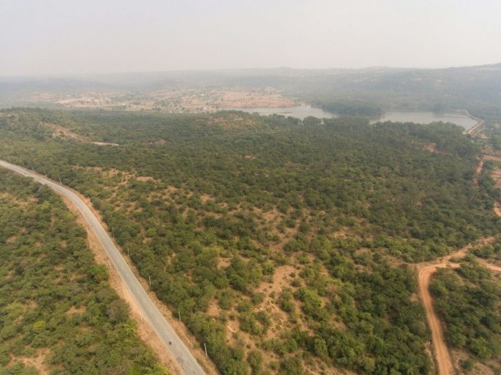 Bannerghatta National Park Bengaluru