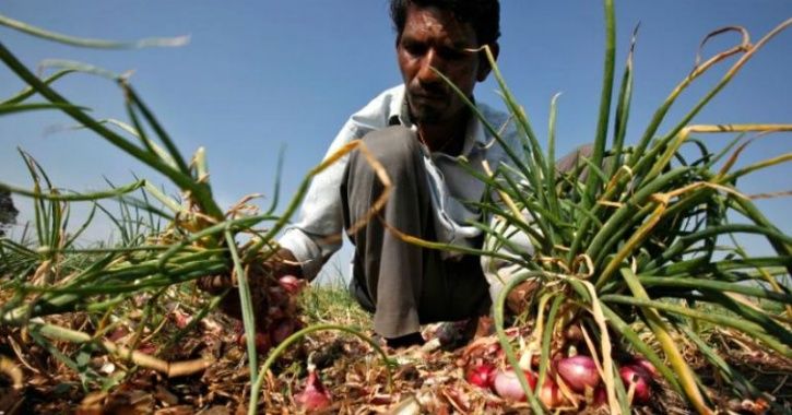 Farmer Invested Rs 2 Lakh To Produce 2,657 Kg Of Onion Crop, Earns Only Rs 6 & Sends It To CM Fadnav