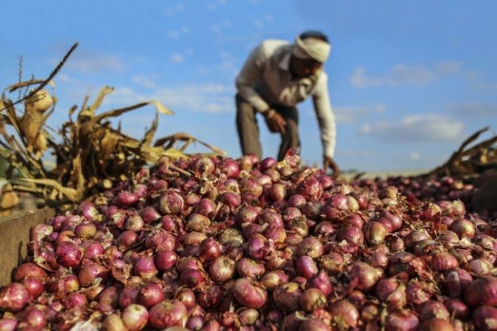 Farmers Produces 2,657 Kg Of Onion Crop, Earns Only Rs 6 And Sends It To CM Fadnavis