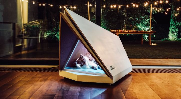 noise-cancelling dog kennel