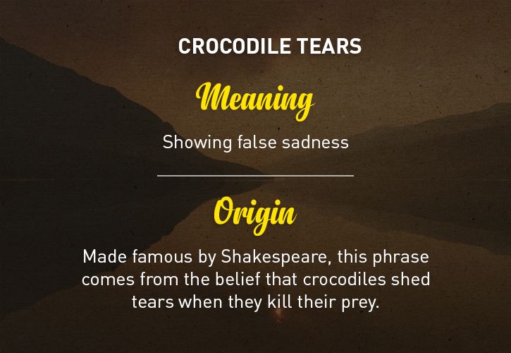 Here Are The Origin Stories Behind These 17 Phrases We Use On An