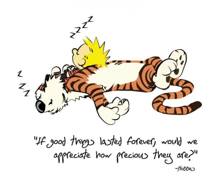 11 Life Lessons We Learned From Calvin And Hobbes 