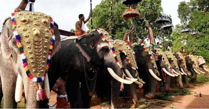 Kerala Temple Becomes The First To Say 'No' To Use Of Elephants For ...