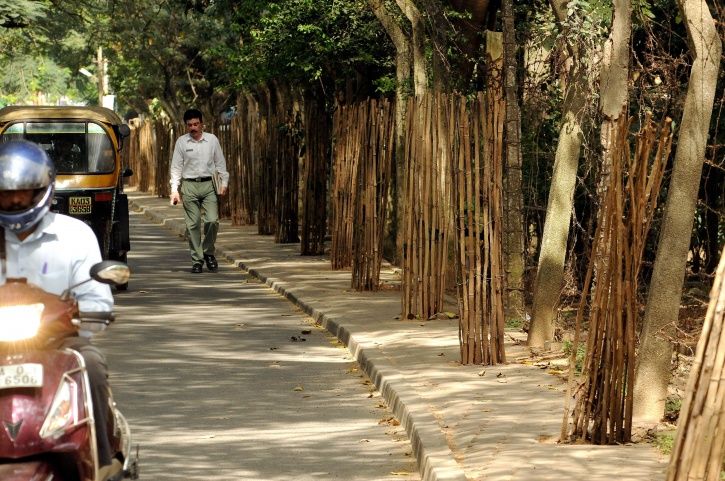 Bengaluru Is Making It Worse By Allowing By More Trees To Be Cut Down Easily