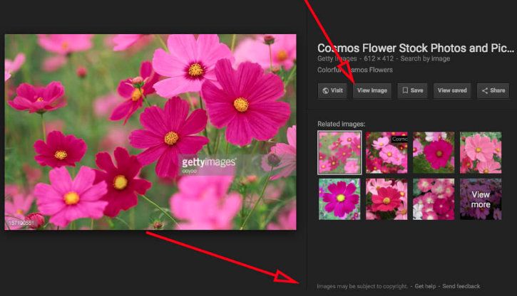 Google removes View Image button from search