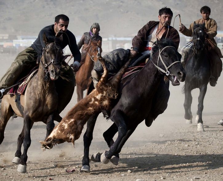 All You Need To Know About Buzkashi, Afghanistan&#39;s National Sport Which Is  Played With The Body Of A Dead Animal